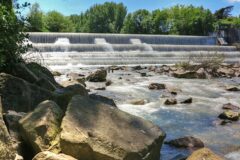 05-13 - an der Birs bei Münchenstein 